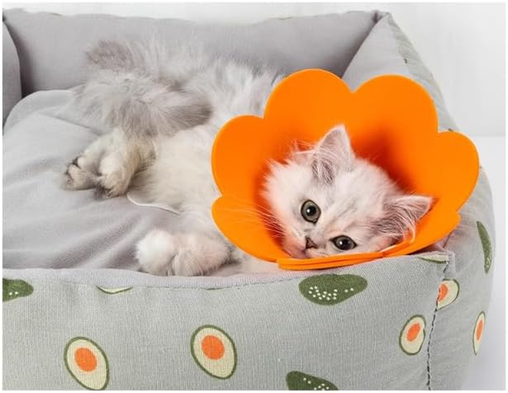 Soft Dog Cone for Dogs after Surgery, Comfort Dog Cones for Large Medium Small Dogs, Adjustable Dog Recovery Collars & Cones, Collar Alternative to Stop Licking Wounds (Orange, XL) image number 4