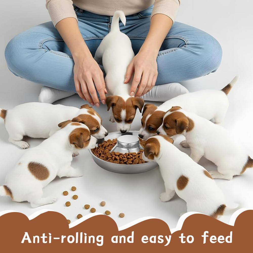 4 Pack Stainless Steel Puppy Bowls,Dog Feeding Bowls,Anti-Choking Slow-Feeding Bowl,Bite-Resistant Dog Bowl,For Small Medium Large Dogs,Cat,Pets,Multiple Puppies image number 3