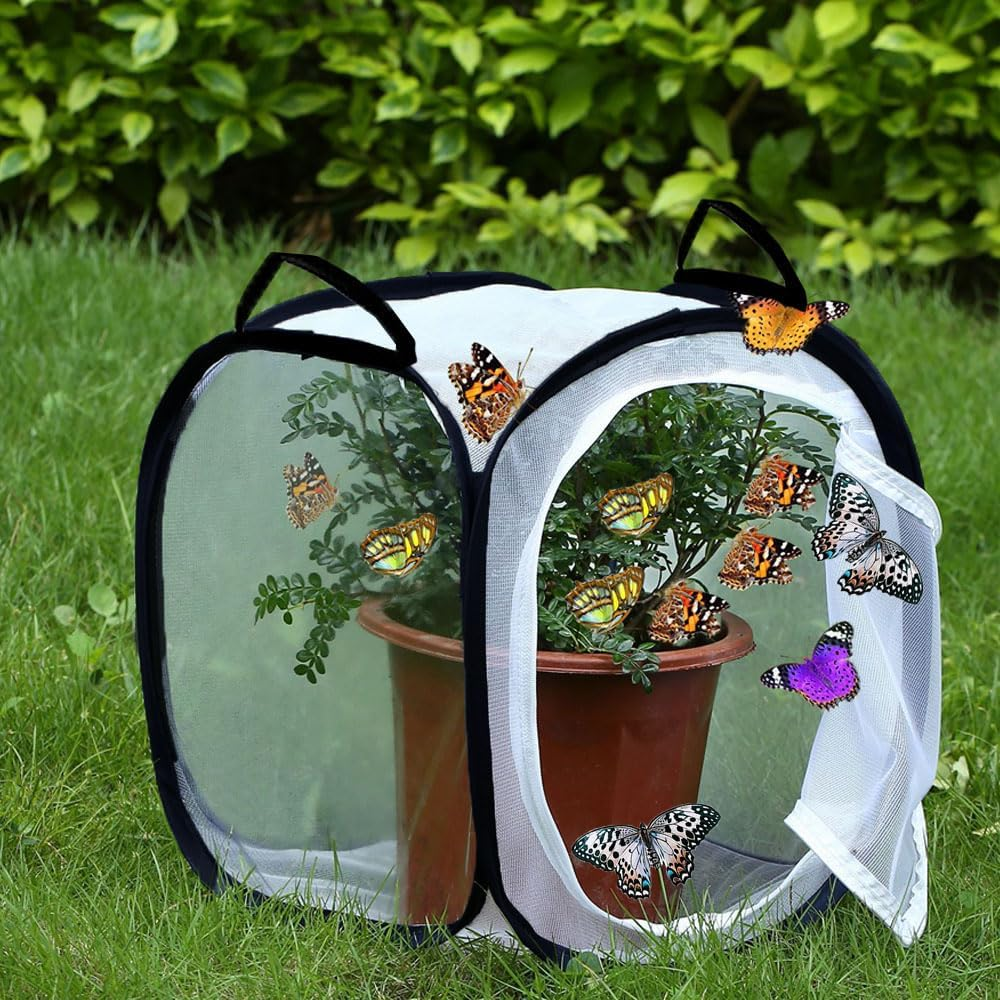 Insect and Butterfly Habitat Cage, 30&times;30&times;30Cm Stick Insect Enclosure, Outdoor Collapsible Butterfly Habitat Mesh Net Cage Terrarium image number 2