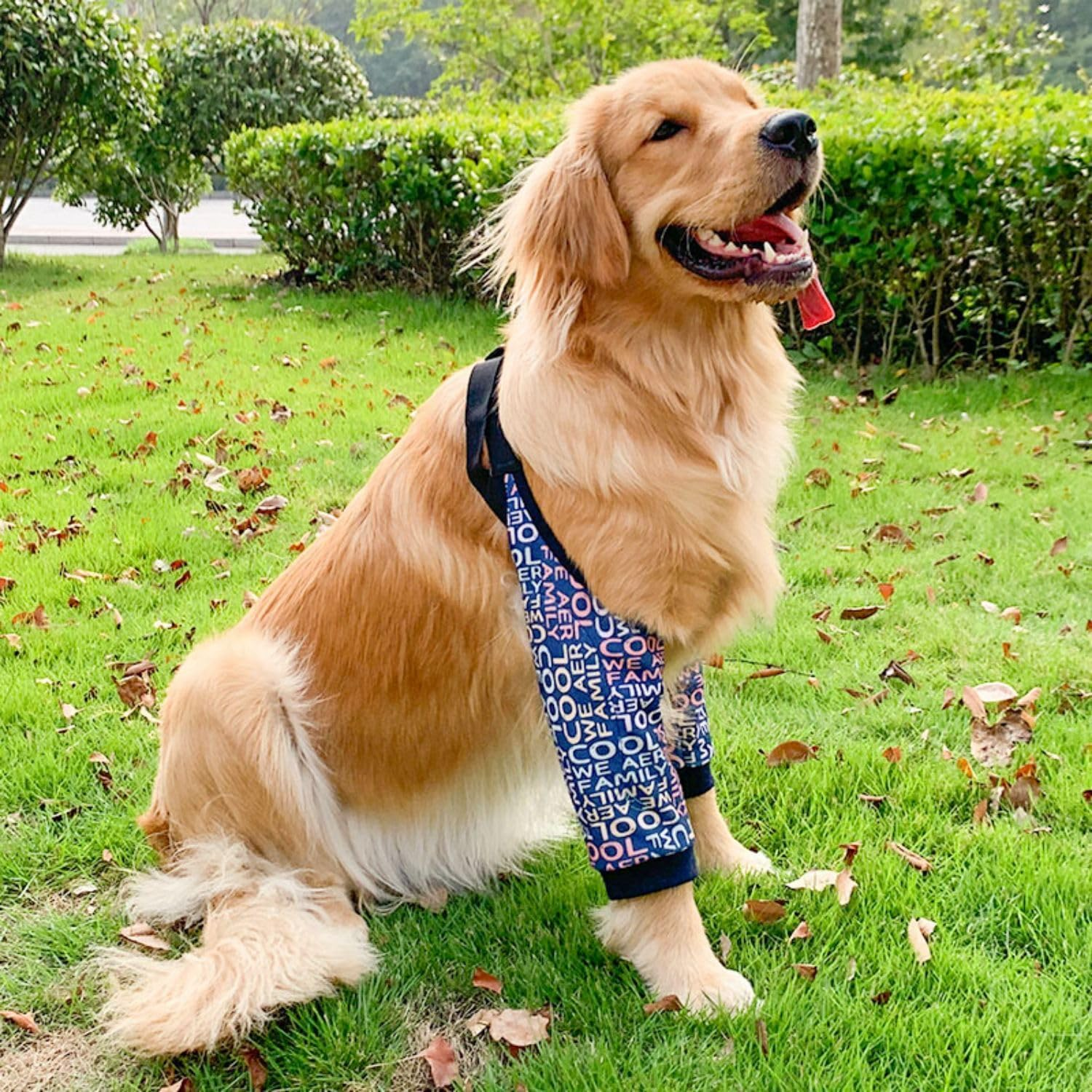 Dog Elbow Protector, Dog Leg Recovery Sleeve for Prevent Licking Wound, Joint Sleeves with Mesh Pad for Medium Large Dogs Thickened Letters (Blue, L) image number 5