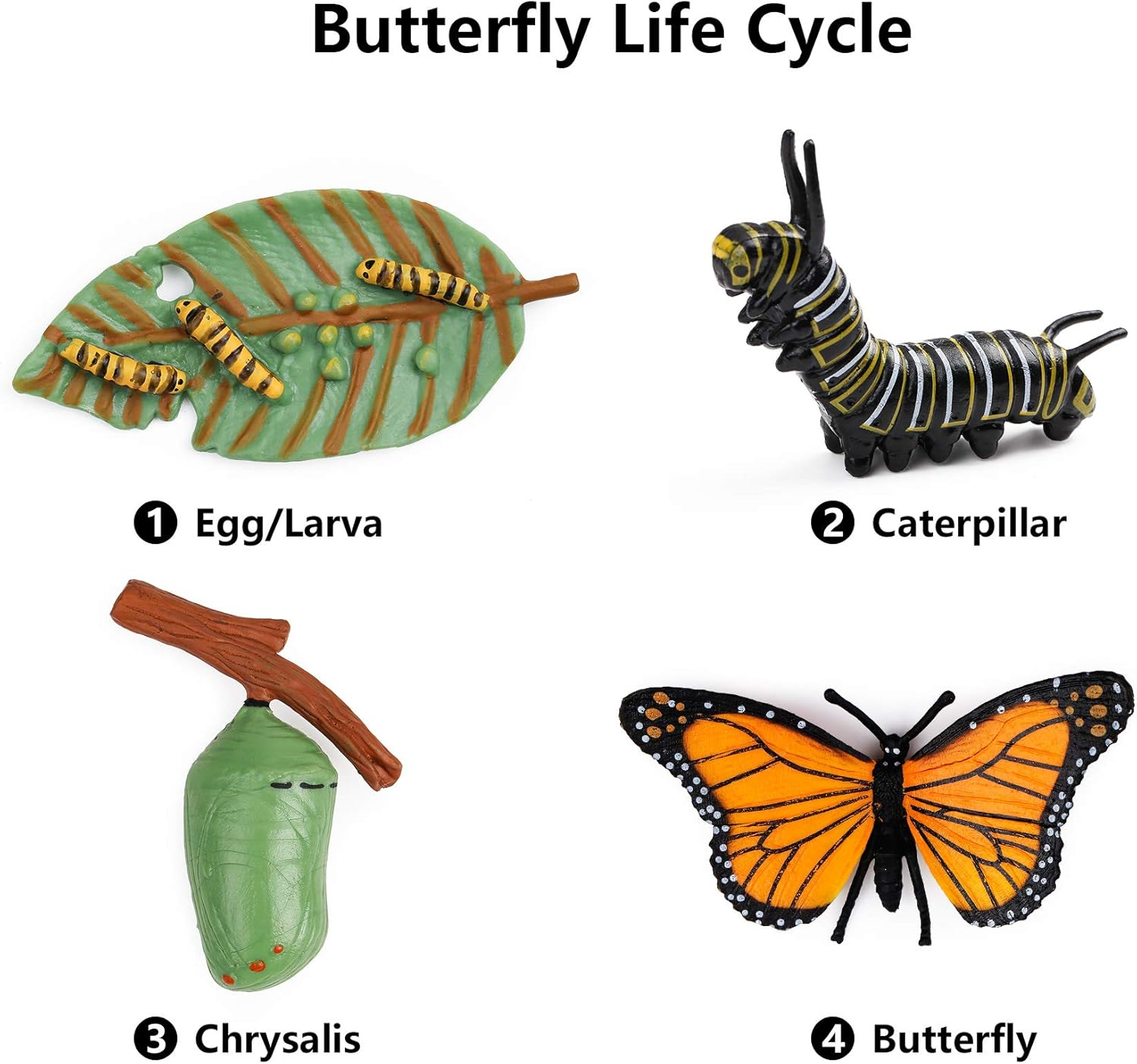 UANDME Life Cycle Figurines of a Monarch Butterfly and a Frog Realistic Education Insects Life Stages Figures for Learning and Teaching Aids image number 6
