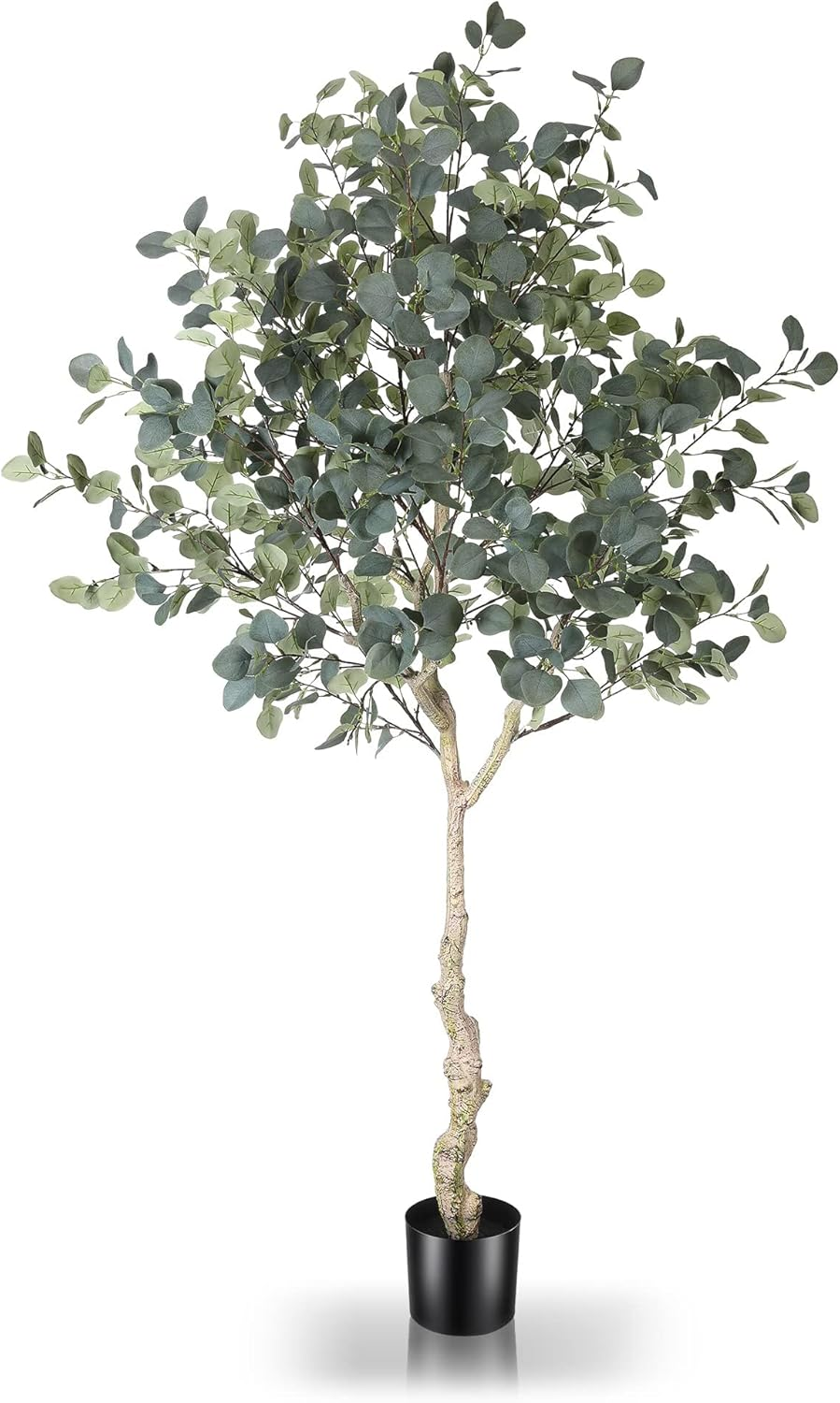 6Ft Artificial Eucalyptus Tree in Plastic Nursery Pot, Tall Faux Eucalyptus Stems Fake Plants with 846 Silver Dollar Leaves, Artificial Trees for Office House Living Room Home Decor Indoor