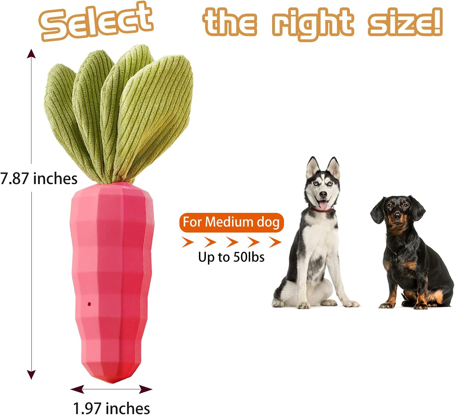 Squeaky Dog Toys Medium Small Breed Puppy - Lifetime Replacement - Fun to Chew, Chase and Fetch (Carrot) image number 1