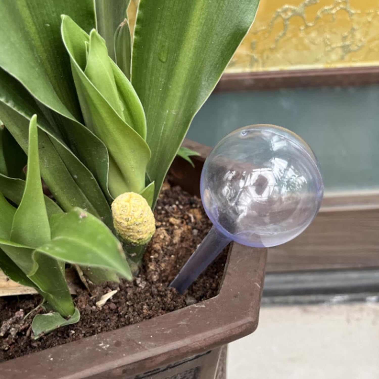 Watering Globes for Indoor Plants - Watering Clear Watering Bulb - Gardening Supplies, Multifunctional Decorative Irrigation Tools for Indoor Outdoor Garden Potted