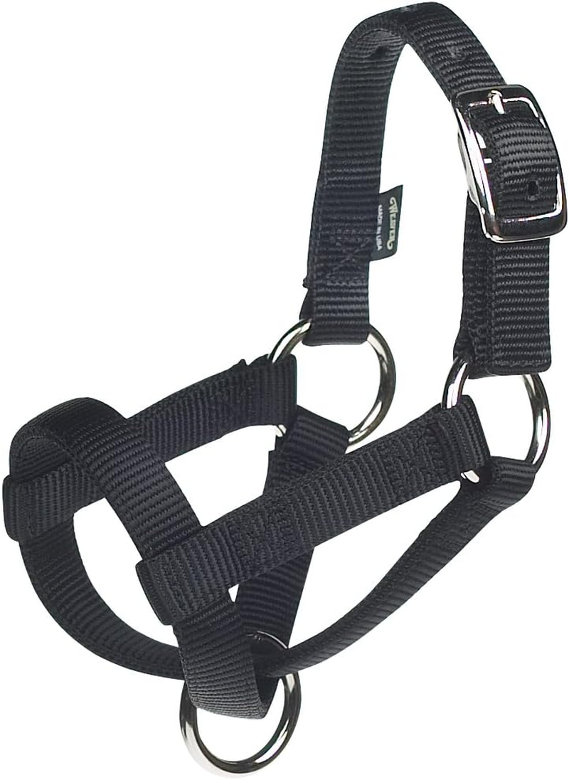 Weaver Leather Goat Halter