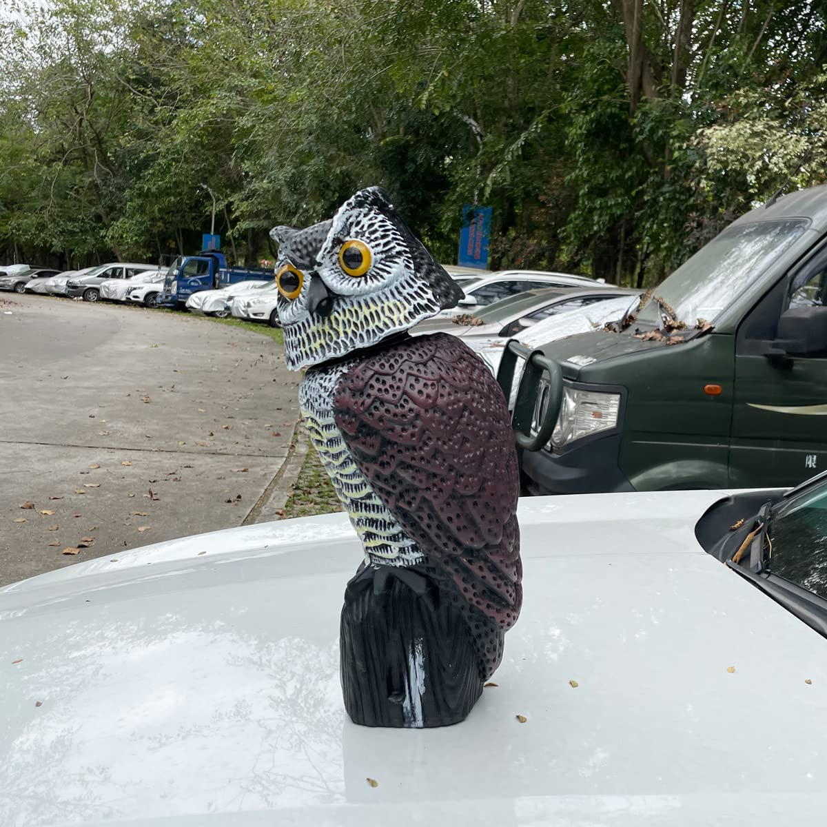 Skycabin Realistic Owl Decoy to Scare Birds Away with Rotating Head,Humane Decoy Deterrent,Natural Scarecrow Fake Owl for Bird/Pigeon/Crow Scarer from Garden,Patio,Yard,Boats and Vulnerable Buildings image number 2
