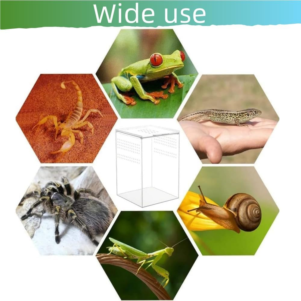 Reptile Terrarium Stick Insect Enclosure Breeding Box 12X12X20 Size Acrylic Material Feeding Case image number 2