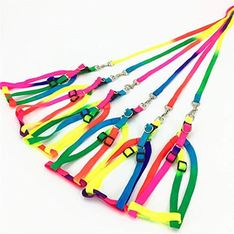 Pet Bird Harness and Leash with Buckle Adorable Rainbow Design Safe Parrot Leash Pet Harness Outdoor Adjustable anti Bite Training Rope for Macaw Large Size Bird (Color, 1.5 * 120CM) image number 1