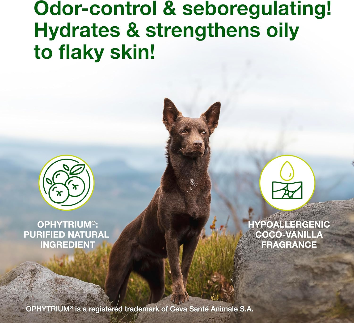 Douxo S3 SEB Mousse 5.1 Oz (150 Ml) - Relief for Seborrhea in Dogs and Cats (Helps with Oily to Flaky Skin) image number 3