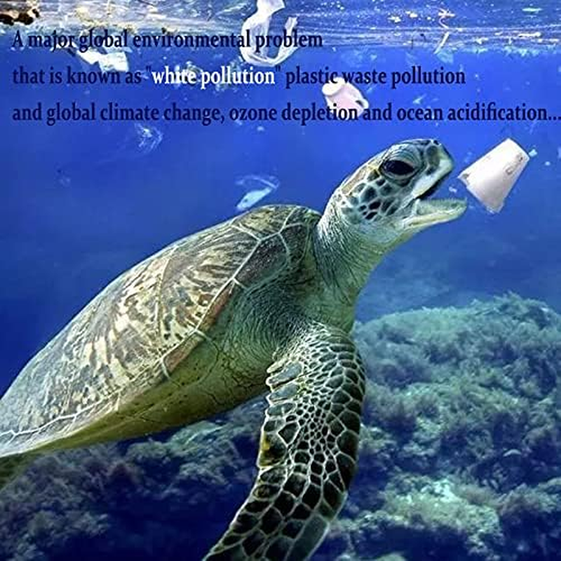 10X13 Inches 100% Biodegradable D2W Poly Mailers with Handle, 50Pcs Mint Compostable Envelopes Shipping Bags, Eco Friendly Waterproof Stretchable Self Sealing Mailing Bags image number 6