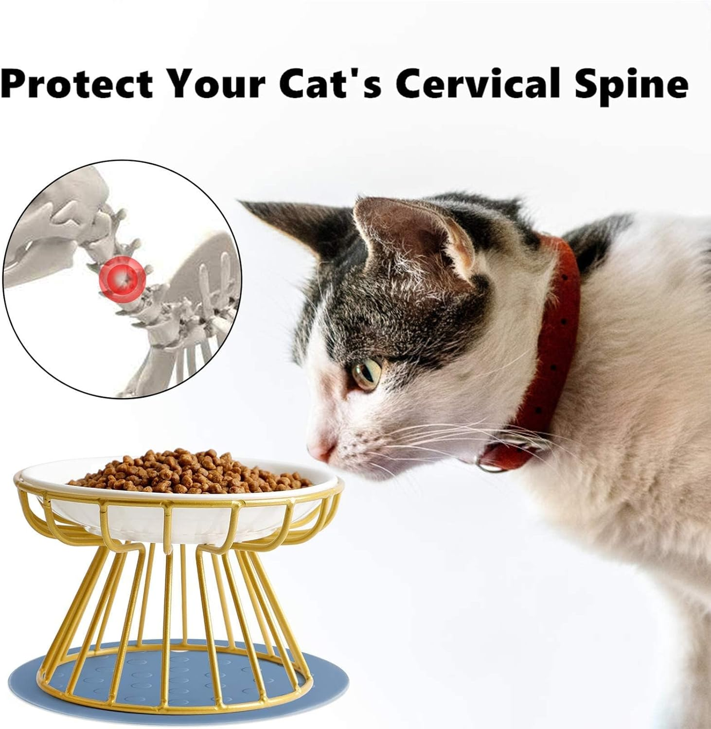 Cat Bowl-Raised Cat Food Bowl, Elevated Cats Feeder Bowl Stand, Elevated Cat Food Bowl with Non Slip Metal Stand, Food & Water anti Vomiting Shallow Ceramic Cat Dish image number 1