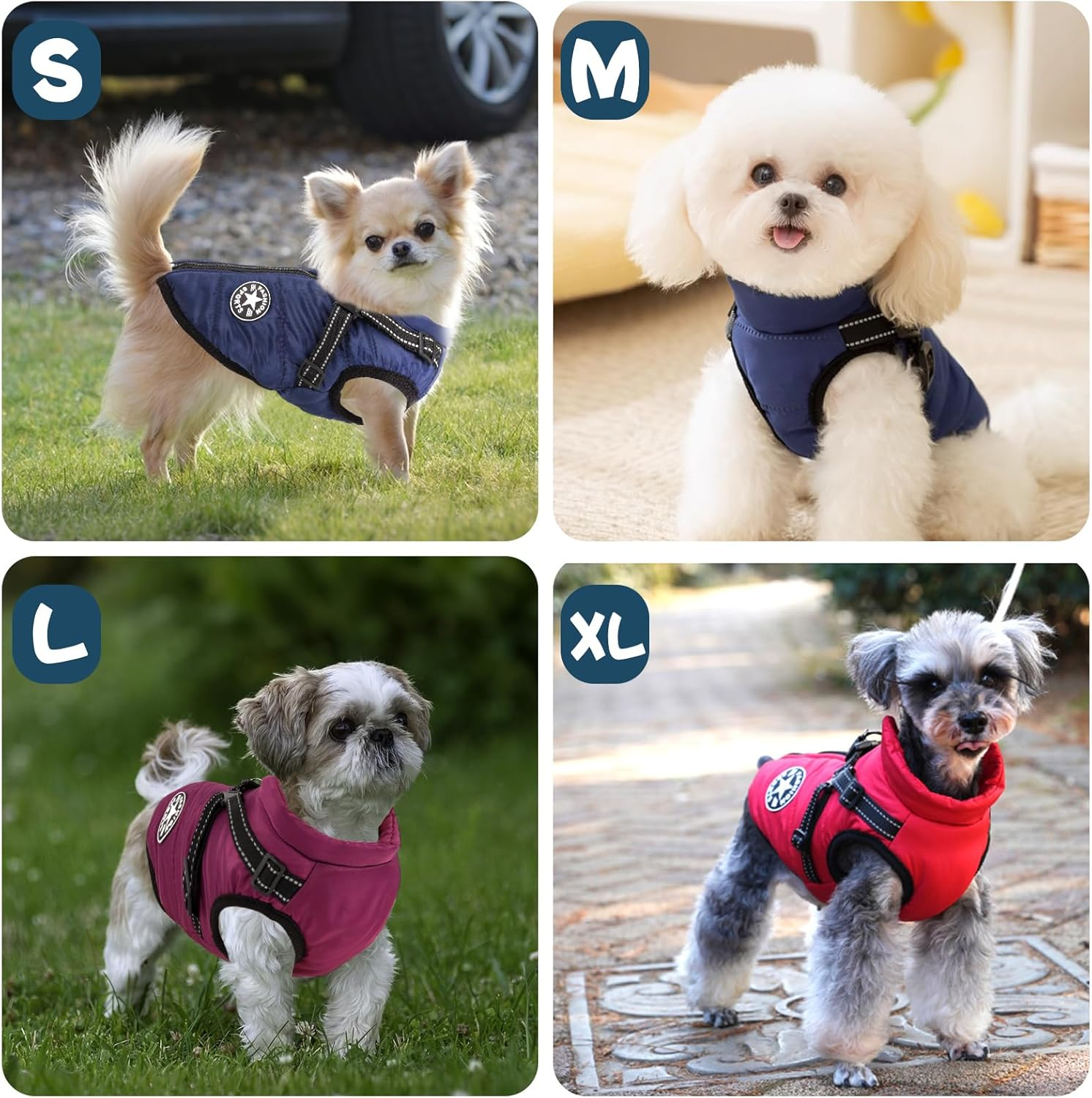 Reflective Padded Dog Jacket with Built-In Harness, Water-Resistant Winter Dog Coat with D-Ring Leash & Fur-Safe Zipper, Warm Windproof Coats for Small Dogs and Kittens (Blue, L) image number 1