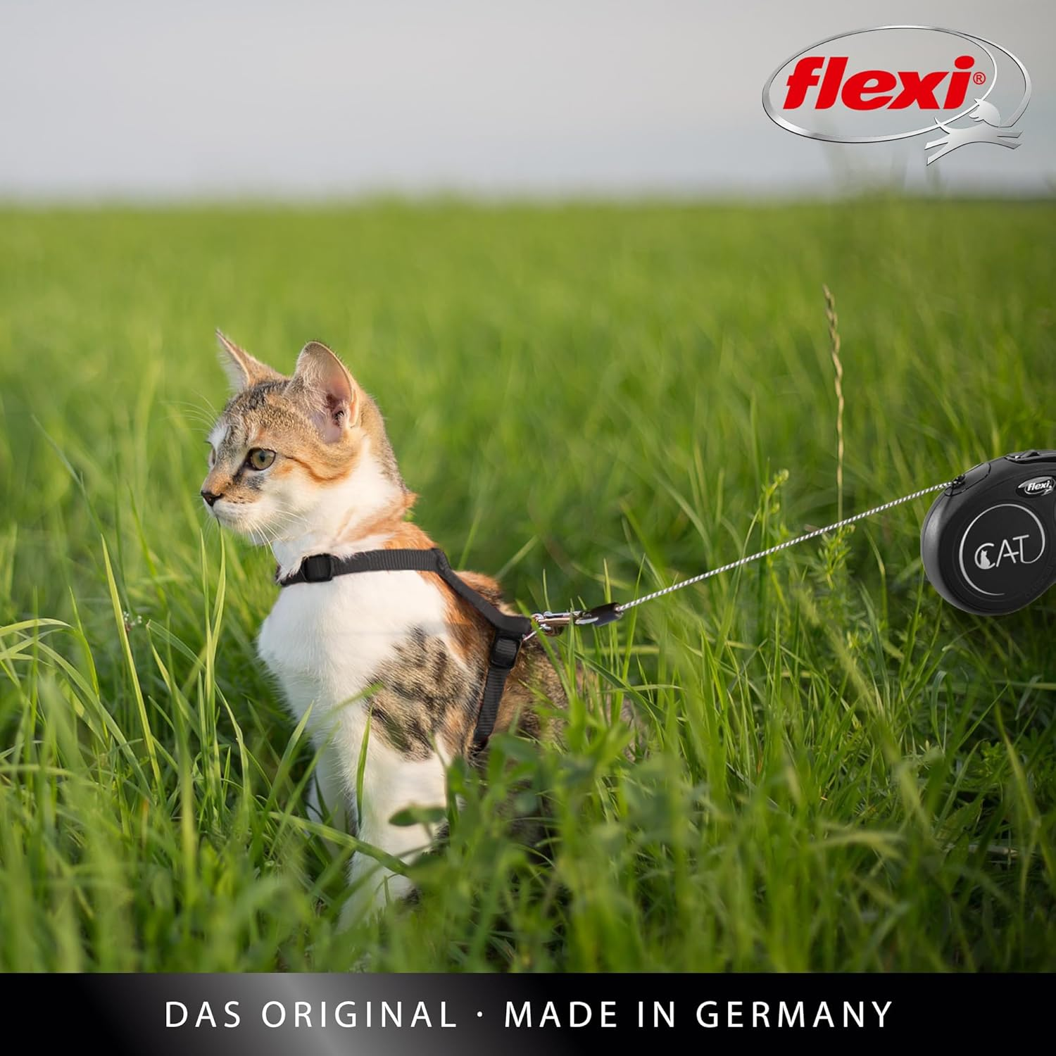 Flexi Classic Retractable Cat Cord Lead Black Extra Small 3 Metres image number 4