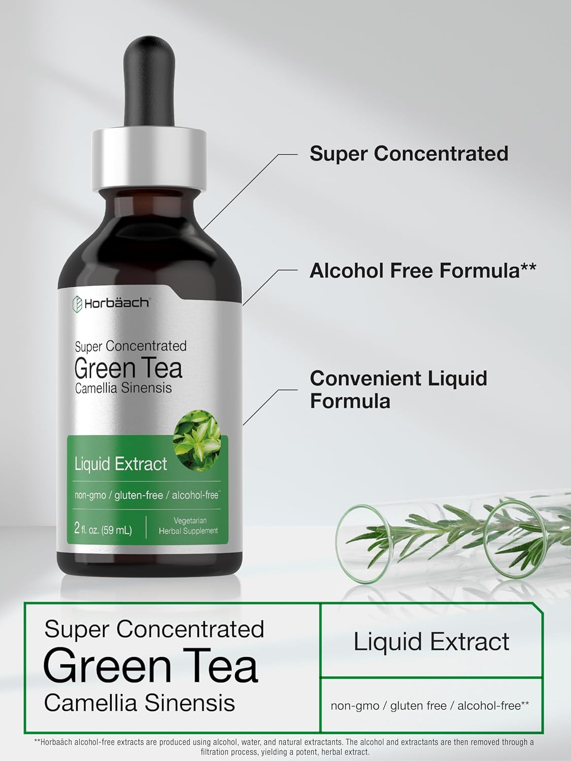 Green Tea Extract | 2 Fl Oz | Super Concentrated Liquid Supplement | Alcohol Free, Vegetarian, Non-Gmo, Gluten Free | by Horbaach