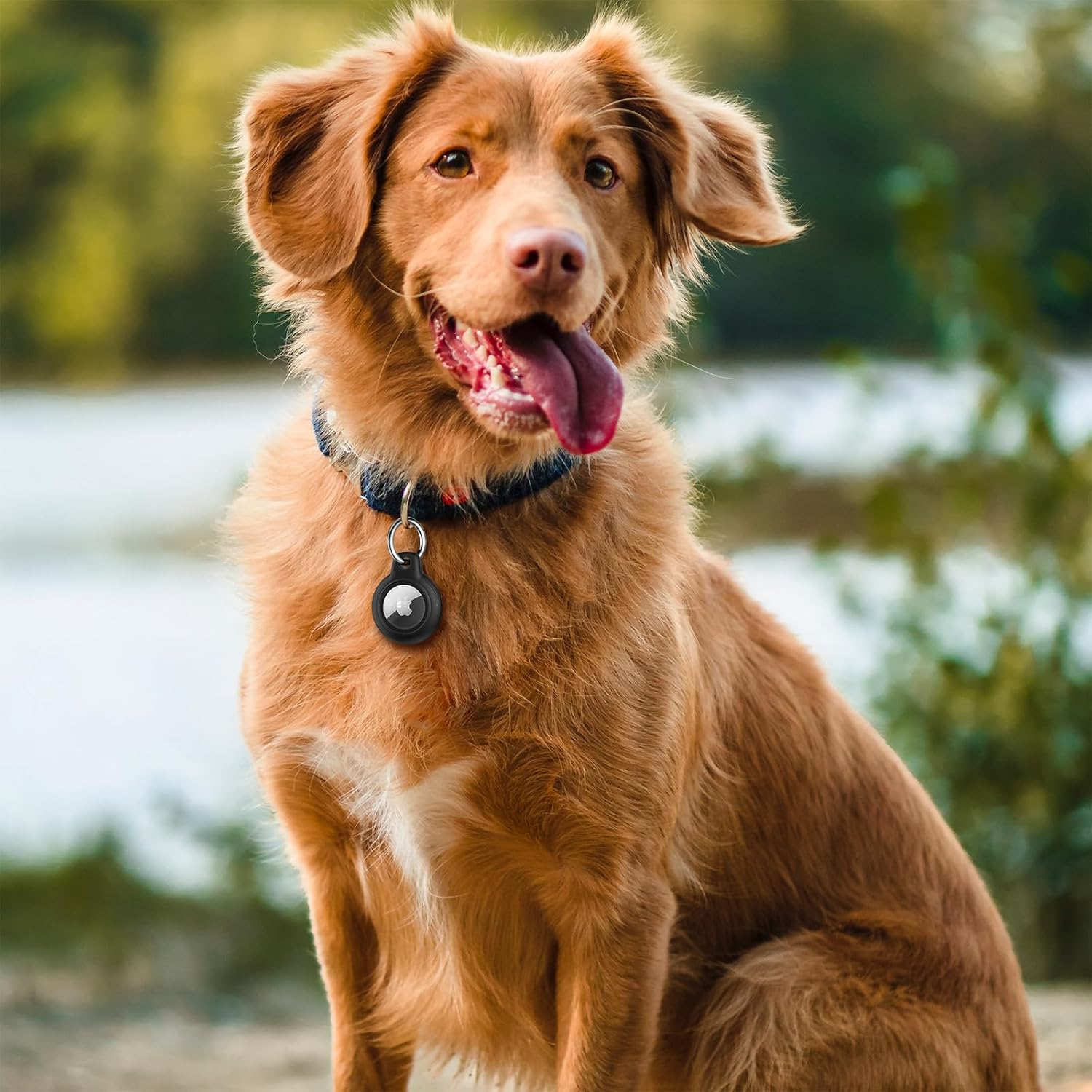 Leonids for Airtag Holder for Apple Airtag 2021, Waterproof & Anti-Scratch Protective Case with Anti-Lost Keyring for Pet Collar, Backpack, Luggage image number 6