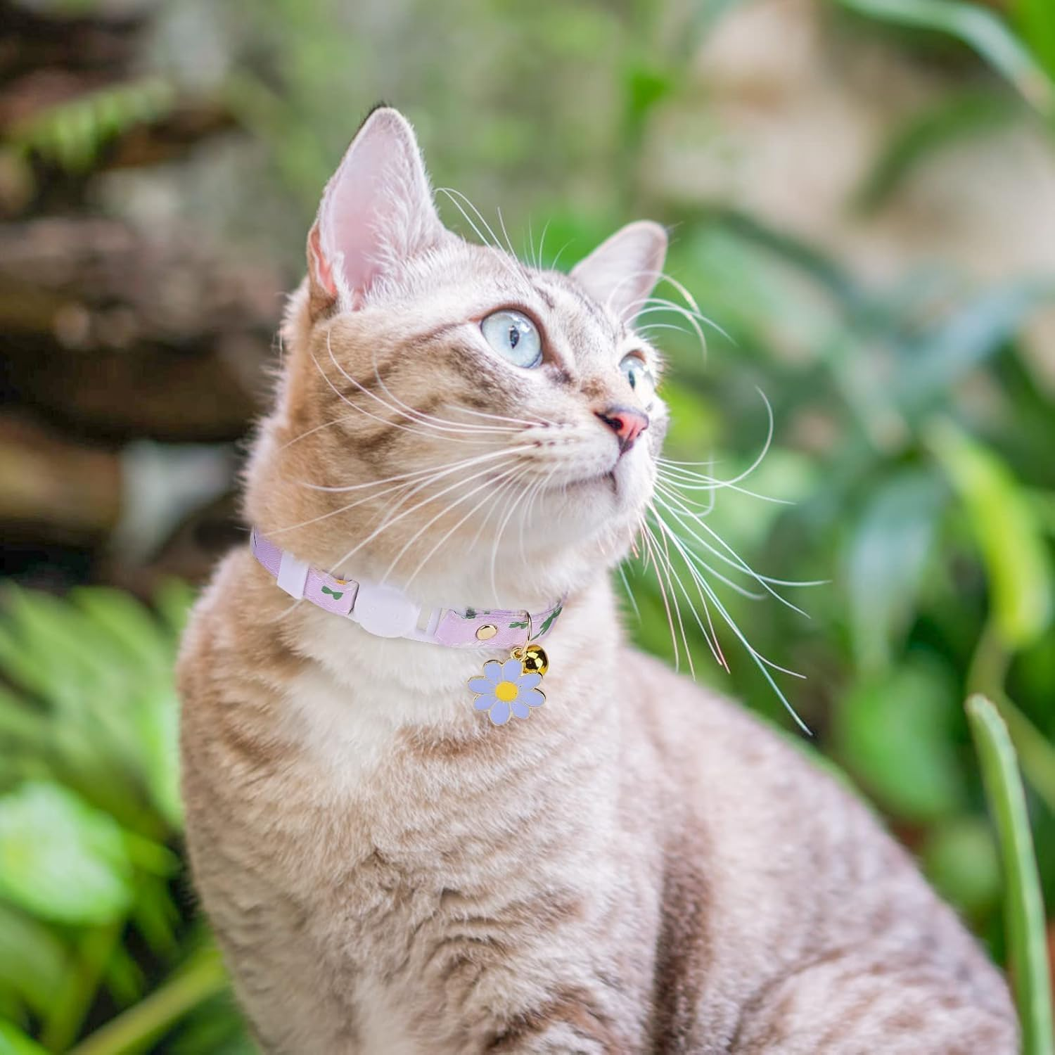 Floral Cat Collar Set with Bell and Daisy Charm, Pack of 3, Pink Purple Green image number 2