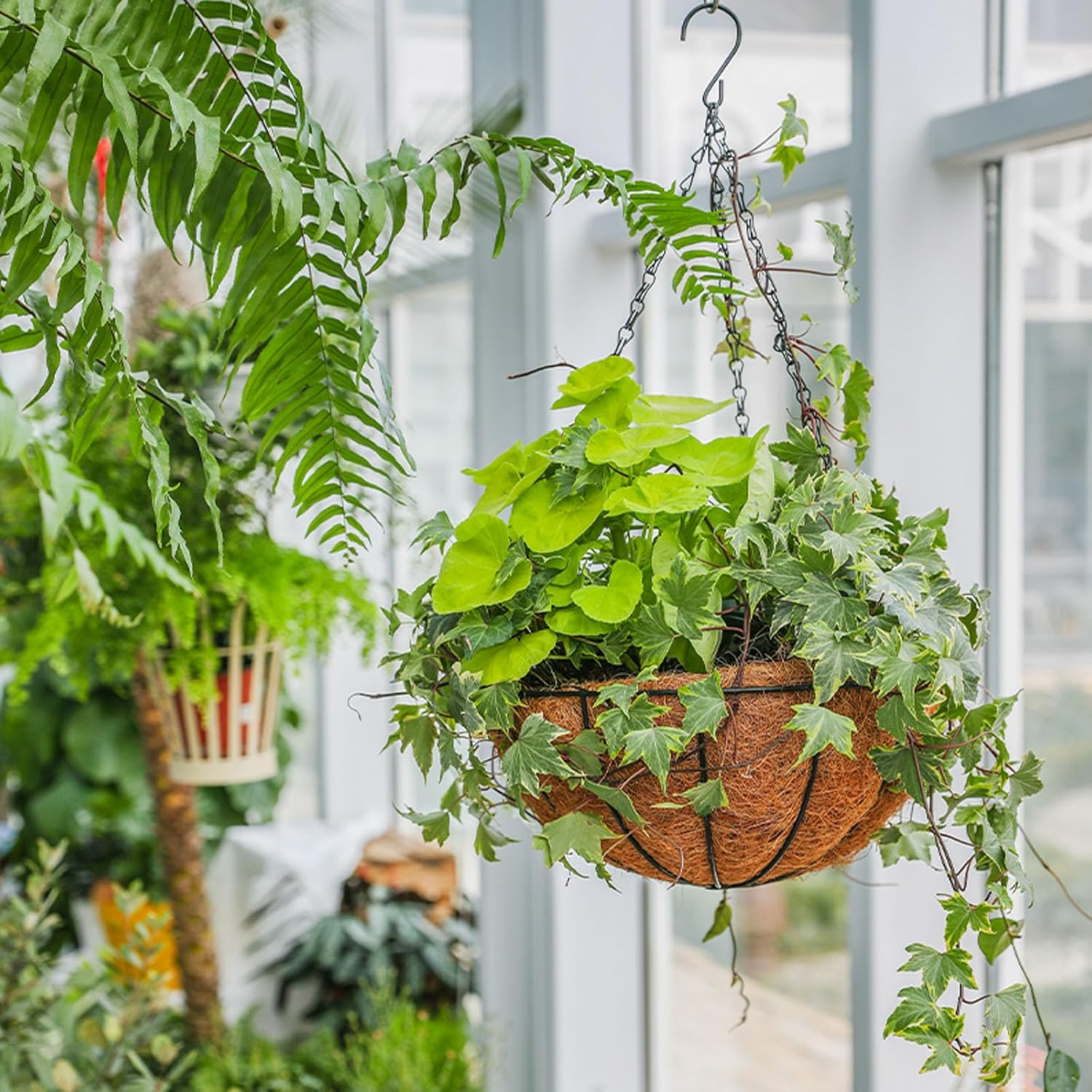 12 Pack Hanging Chains with Hooks, Black Sign Hanger for Hanging Bird Feeders, Birdbaths, Picture, Planters, Lanterns, Baskets, Billboards, Decorative Ornaments, Wind Chimes image number 6