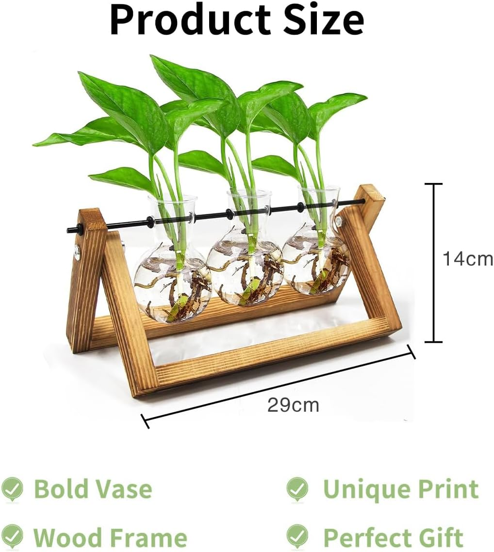 Plant Terrarium Wooden Stand Propagation Stations Glass Hydroponics Bulb Vase Desk Plants Holder for Gardening Office Home Decor 3 Glass Vase image number 5